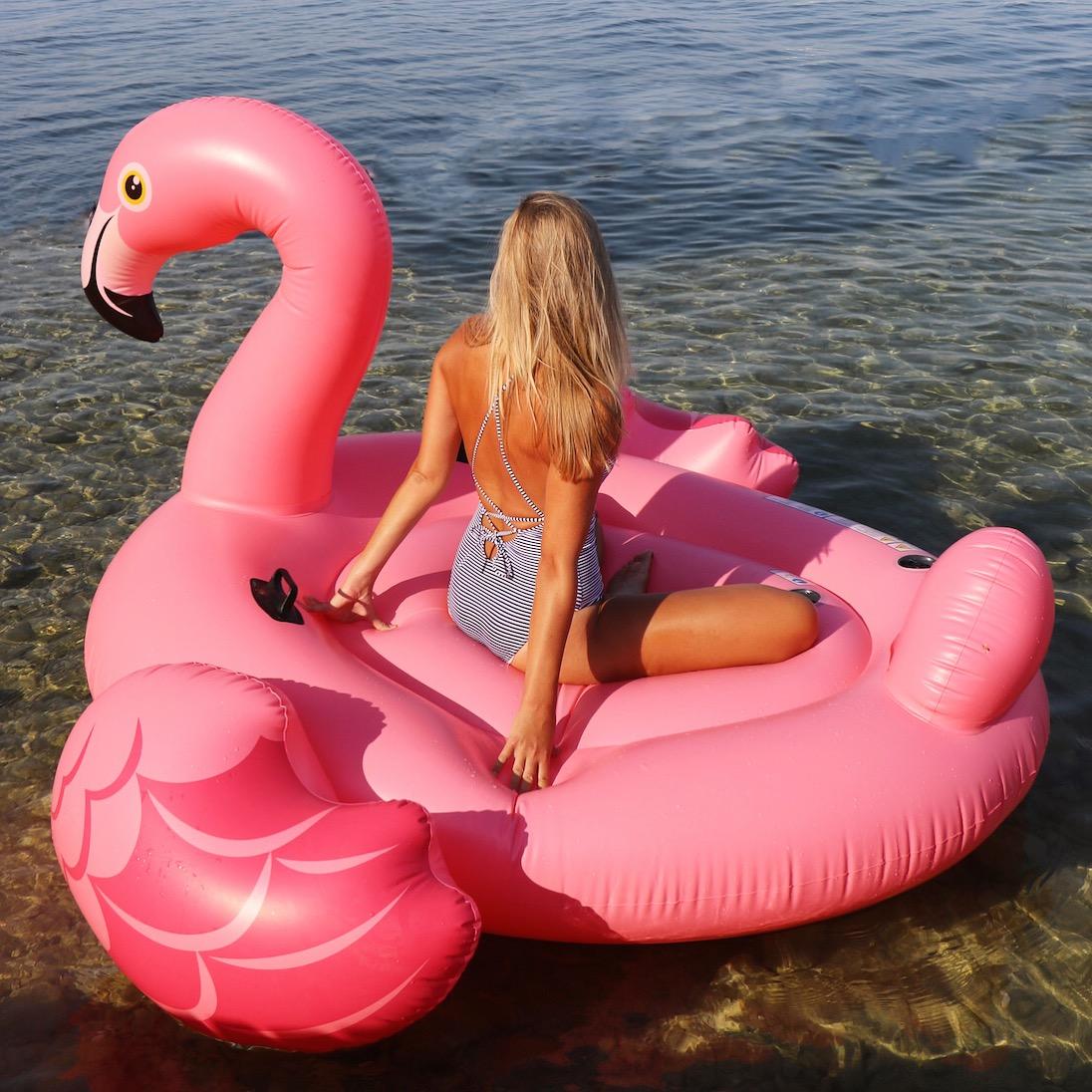 flamingo